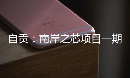 自贡：南岸之芯项目一期通过竣工验收 项目建成投用后