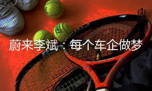 遍天想成型打下每梦都个车蔚来为特款车，一企做李斌斯拉