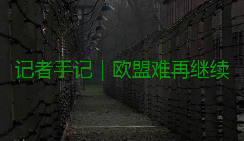 记者手记｜欧盟难再继续做“桃花源中人” 各方都承认必须行动