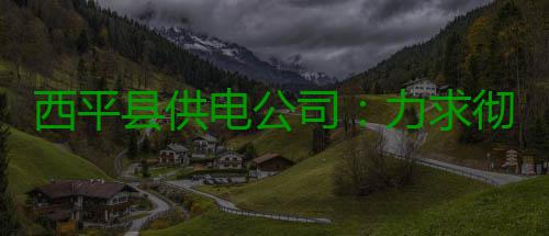 西平县供电公司：力求彻底整改 保农村平稳度夏 及时向群众讲解停电原因