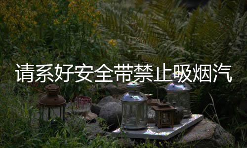 请系好安全带禁止吸烟汽车贴纸车内警示提示带随意创意装饰车贴纸 