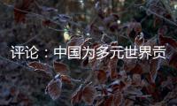 评论：中国为多元世界贡献交融共生的法治方案