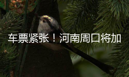 督察组再曝17个扬尘污染工地 拒不整改按日计罚 襄阳至青岛的河南列车等