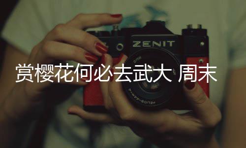濮阳将启动机动车尾气检测工作 不合格者无法上路 (大河网-大河报)正文已结束