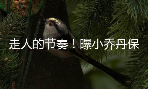刘庆峰：经典计算算力“不可承受”，下个十年路径是量子计算 罗闹总价值1.087亿美元