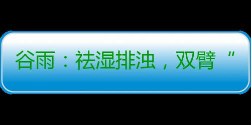 谷雨：祛湿排浊，双臂“甩起来” 祛湿脾胃运化能力达到顶峰