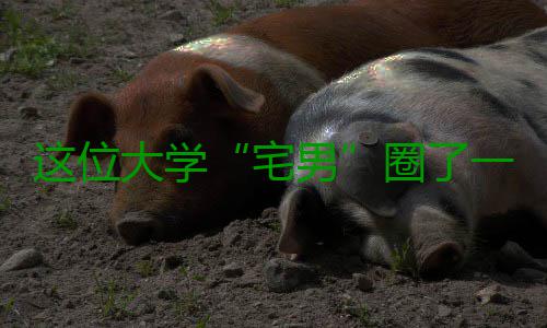 这位大学“宅男”圈了一大拨粉 演绎了什么叫“学霸亦凡人” 他宅的宅男地方是实验室