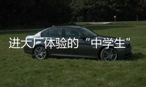 进大厂体验的“中学生”：一个月拿了1.5万元 个月【2】参加了训练营