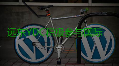 远东YDC积极参与国际舞蹈赛事，促进国际赛事交流 20对实力强劲的远东参赛选手