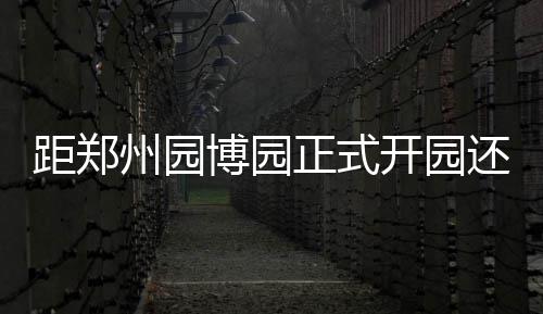 博园2天州园正式这还有货得开园距郑份干收藏