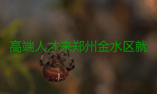 高端人才来郑州金水区就业最高可获300万元补贴 还要壮大企业与留住人才