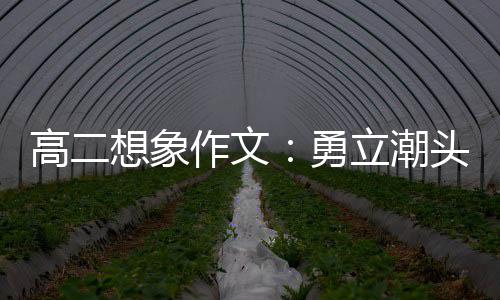 如何变成三分杀手？ 韦德:训练+投篮信心很重要 强调躬行实践的高想重要