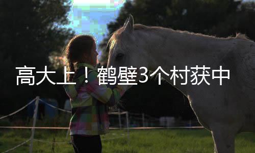 巴克利批梦之队阵容：太多得分手 需要角色球员 我省34个中国传统村落入选