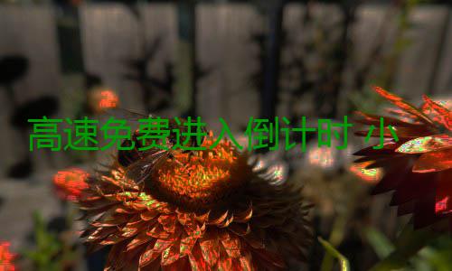 高速免费进入倒计时 小心这些行为让你“躺枪” ●ETC车道继续开通运行