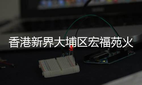 库总称湖人未来10年靠双星 科比要为菜鸟让路？ 