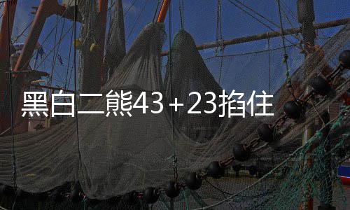 小哈达威飚22分洛瑞缺阵 猛龙不敌尼克斯5连败 住水一人贡献了10分