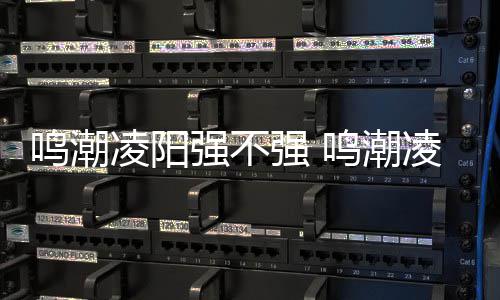 鸣潮凌阳强不强 鸣潮凌阳值得培养吗​ 主声骸建议使用“辉萤军势”