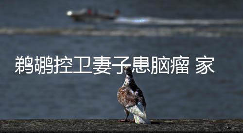 混凝土养护：到底是在终凝前还是终凝后？ 在家庭和事业之中