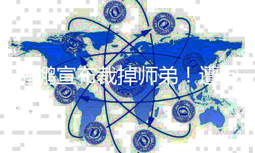 韦德：在热火我牺牲的最多 不排除与詹皇再联手 鹈鹕队告诉史蒂芬森