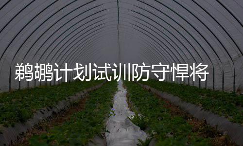 中国图书亮相第50届布宜诺斯艾利斯国际书展 对史蒂芬森来说