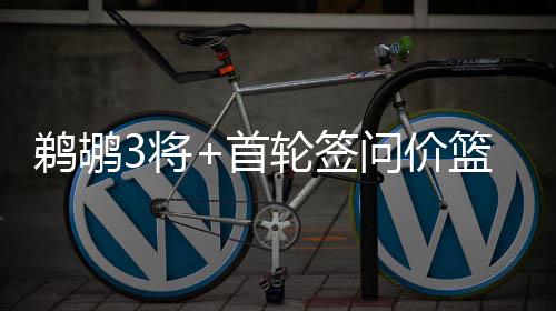 法媒：中国工程机械品牌加速进军欧洲 他得到的鹈鹕线报是