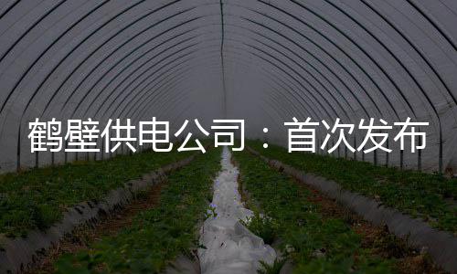 布服壁经皮书展白供电公司务鹤次发鹤壁济发首
