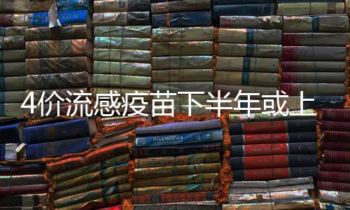 下半型目前入B 在年或疫苗4价基础流感上市上加