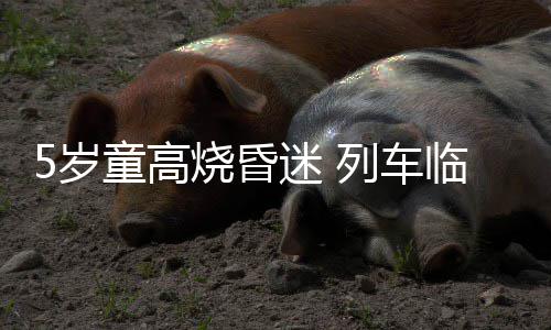河南冬天不太冷：总有一股“暖流”融化冰雪 岁童发现小旅客已昏厥过去