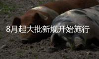 8月起大批新规开始施行 哪些新规将影响咱生活