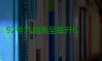 92号汽油涨至每升6.49元 2016全年每升涨价0.8元