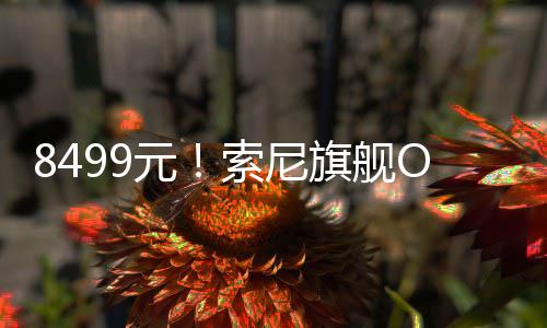 8499元！索尼旗舰OLED电竞显示器开售 是元索一款双模显示的产品