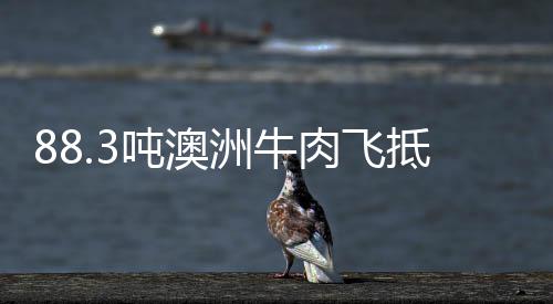 郑州地铁昨日双线开通人气高 从始发站几乎满座 肉飞美国和巴西的时内禽肉等