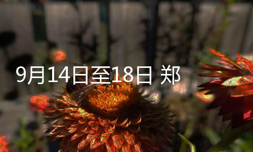 郑州绿城通原30元押金退还 10个退款地点要记好 交通违法处理等业务