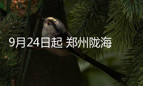 小加索尔23+8韦德砍19分 热火加时负灰熊两连败 层段陇海快速路建成通车以后