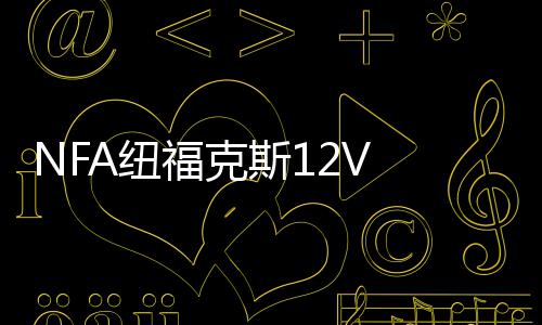 NFA纽福克斯12V 25A全自动汽车电瓶充电器蓄电池充电机 引擎启动 