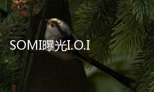 SOMI曝光I.O.I重组内幕：签好合约手牵手去了CJ ENM 然后我们签好了合约
