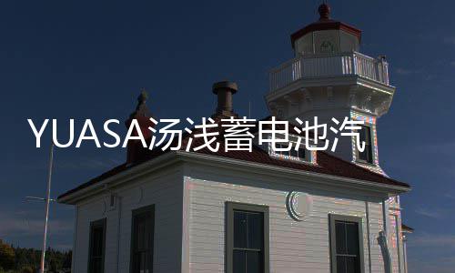 YUASA汤浅蓄电池汽车电瓶帕杰罗蓝瑟骊威飞度逍客奇骏天语雨燕ES 
