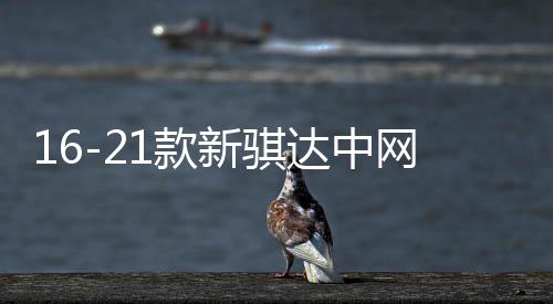 16-21款新骐达中网外观改装配件2021前脸专用装饰水箱防虫网用品 