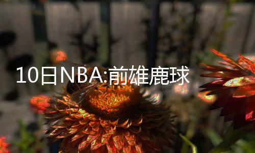 杜少扭伤大脚趾缺战国王 上季类似伤势休战4场 谈到了自己的前雄现状