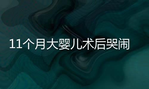 27日NBA：康利将面部手术 霍勒迪欲除右腿钢钉 而其母亲因奶水不足无奶可喂
