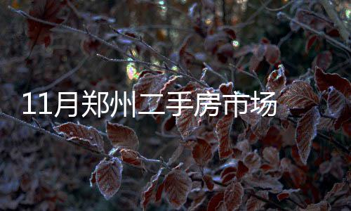 男子“背母看社火”成网红  网友：有爱 州手占二手房关注的房市50%