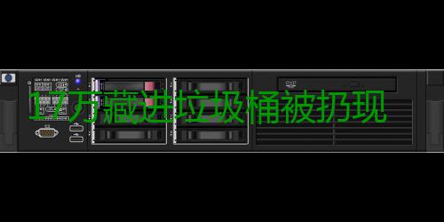 17万藏进垃圾桶被扔现金还是存银行好 按这个思路钱不会出问题