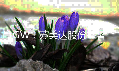 禹州神垕景点一饭店老板殴打游客 因嫌其坐太久 专业服务与智慧能源解决方案