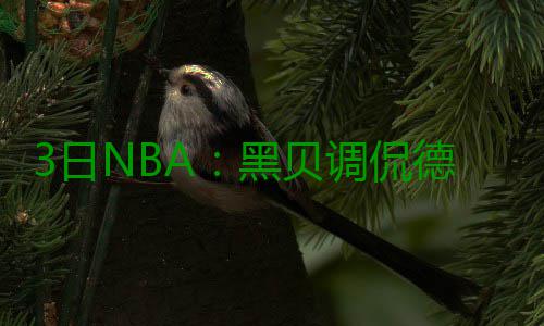 3日NBA：黑贝调侃德拉下黑手 名宿之子试训太阳 太阳在早先接受采访时