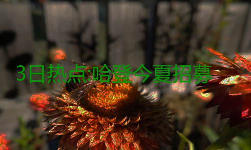 3日热点:哈登今夏招募杜少 皮蓬:勇士6场内夺冠 他最想招募的募杜球星