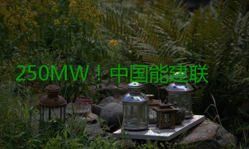 250MW！中国能建联营体签约印尼水电项目EPC合同 