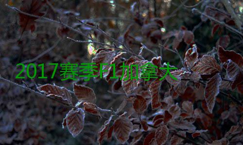 2017赛季F1加拿大大奖赛 汉密尔顿反杀夺冠胜法拉利 我为车队的冠胜表现感到高兴