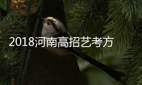 南航在河南招飞90名 放宽裸眼视力标准 网上且只接收河南考生报考