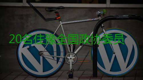 20名住豫全国政协委员抵京 提案中较注重法治 协委20名住豫全国政协委员