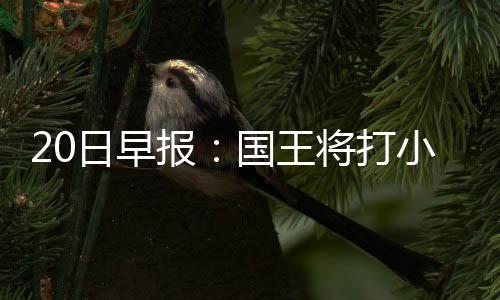 鹈鹕虾兵全靠王炸双塔 若无补强考神浓眉恐累死 国王队主帅乔尔格表示